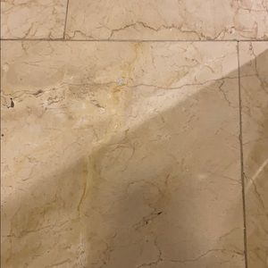 Meet your Posher, Paul